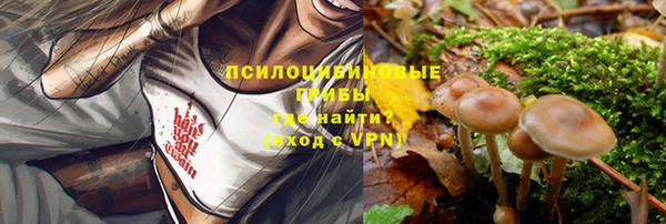 синтетический гашиш Надым