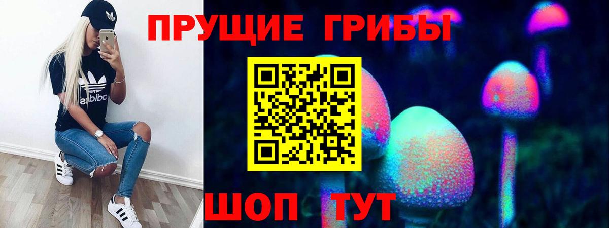 Псилоцибиновые грибы мицелий  Вход с VPN  Новоалександровск 